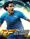 Real_Football_2013.jar.png